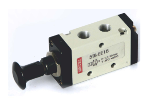 Manual Push Valve, Model - 5TB-EE18