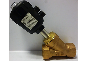 Burkert Control Valve
